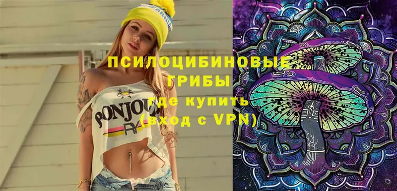 Псилоцибиновые грибы мицелий  Клин 